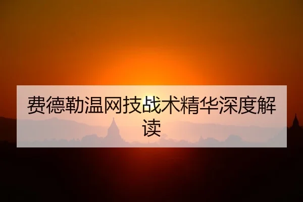 费德勒温网技战术精华深度解读